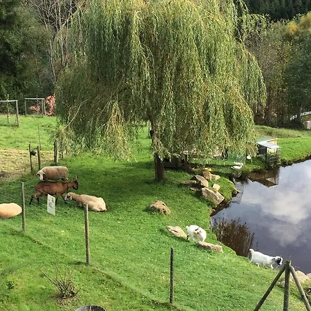 Hotel Restaurant Domaine De Basil Orbey