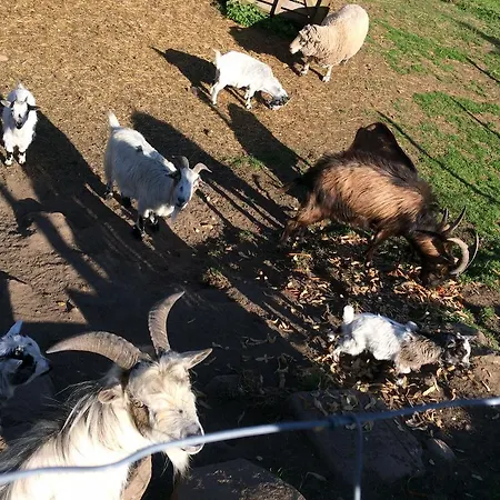 Hotel Restaurant Domaine De Basil