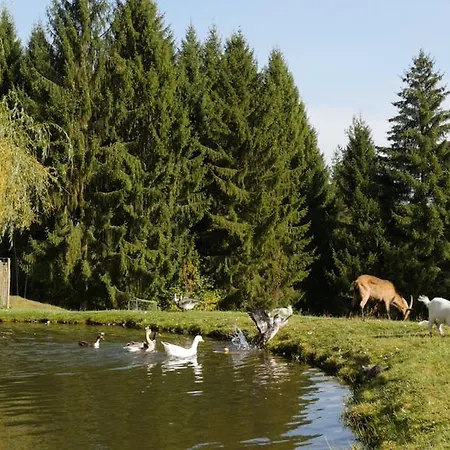 Hotel Restaurant Domaine De Basil Orbey