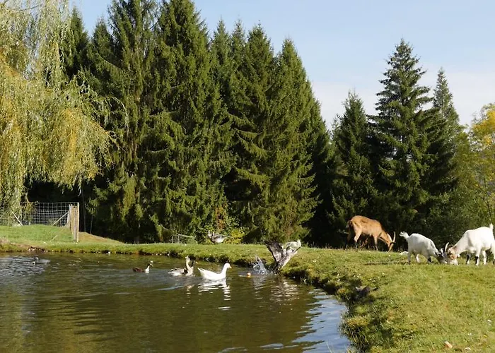 호텔 Restaurant Domaine De Basil 오르베